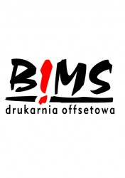 BIMS Mariusz Staniak